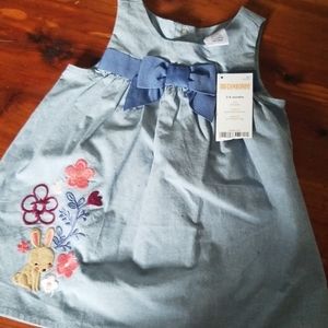 Gymboree 3-6 month Dress NWT